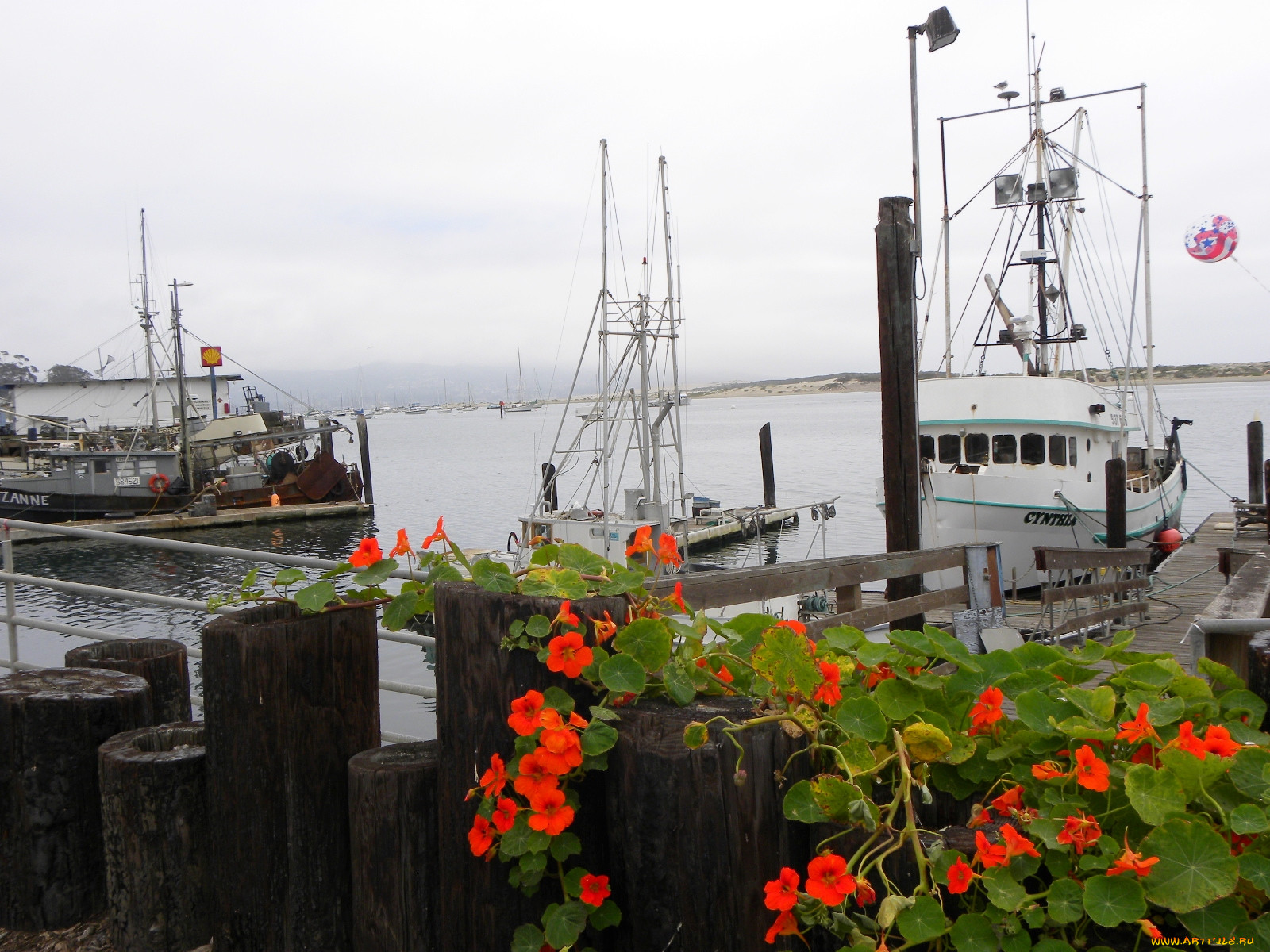 morro, bay, fishing, docks, , , , , 